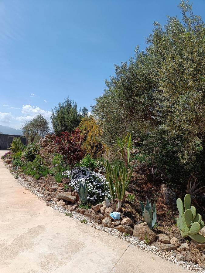 Casa Oasis Apartment *