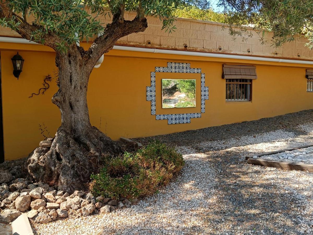 Casa Oasis Apartment *