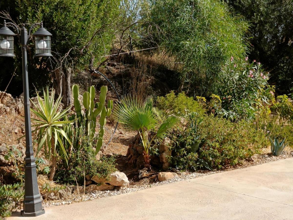 Casa Oasis