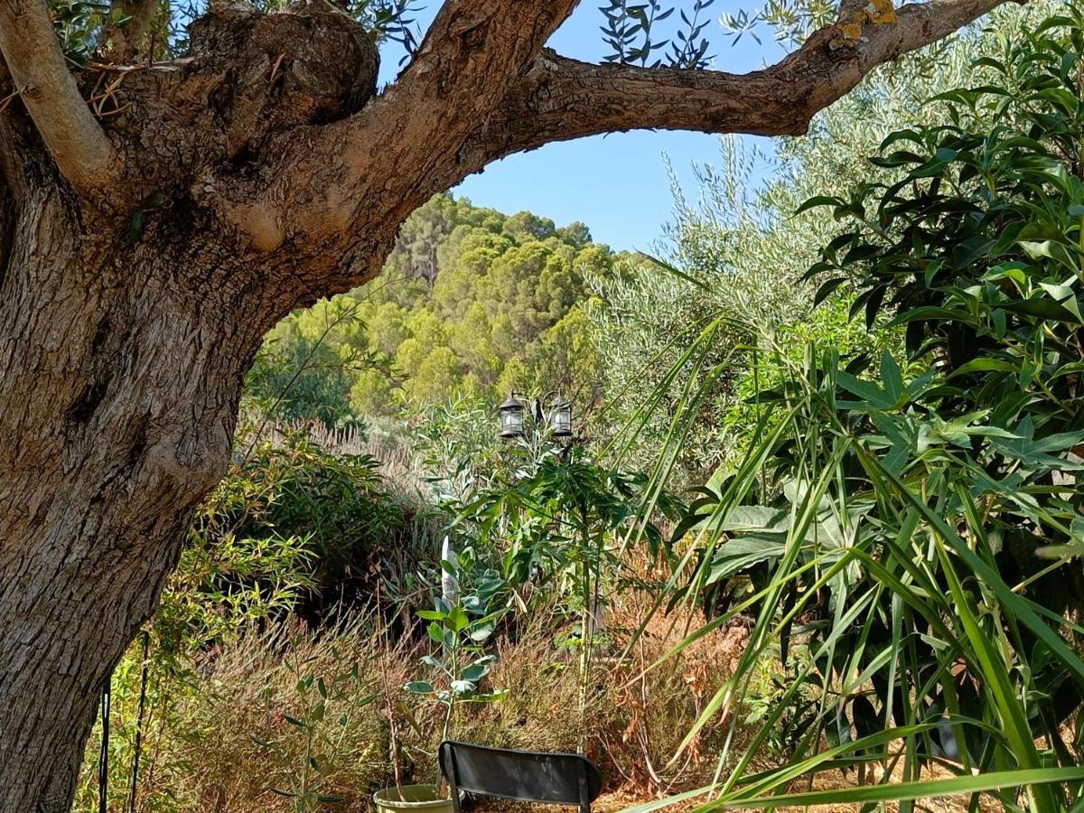 Casa Oasis *