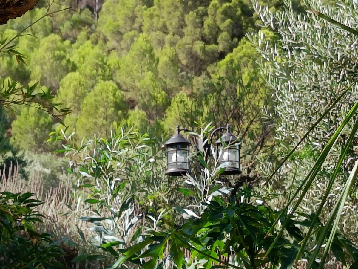 Casa Oasis