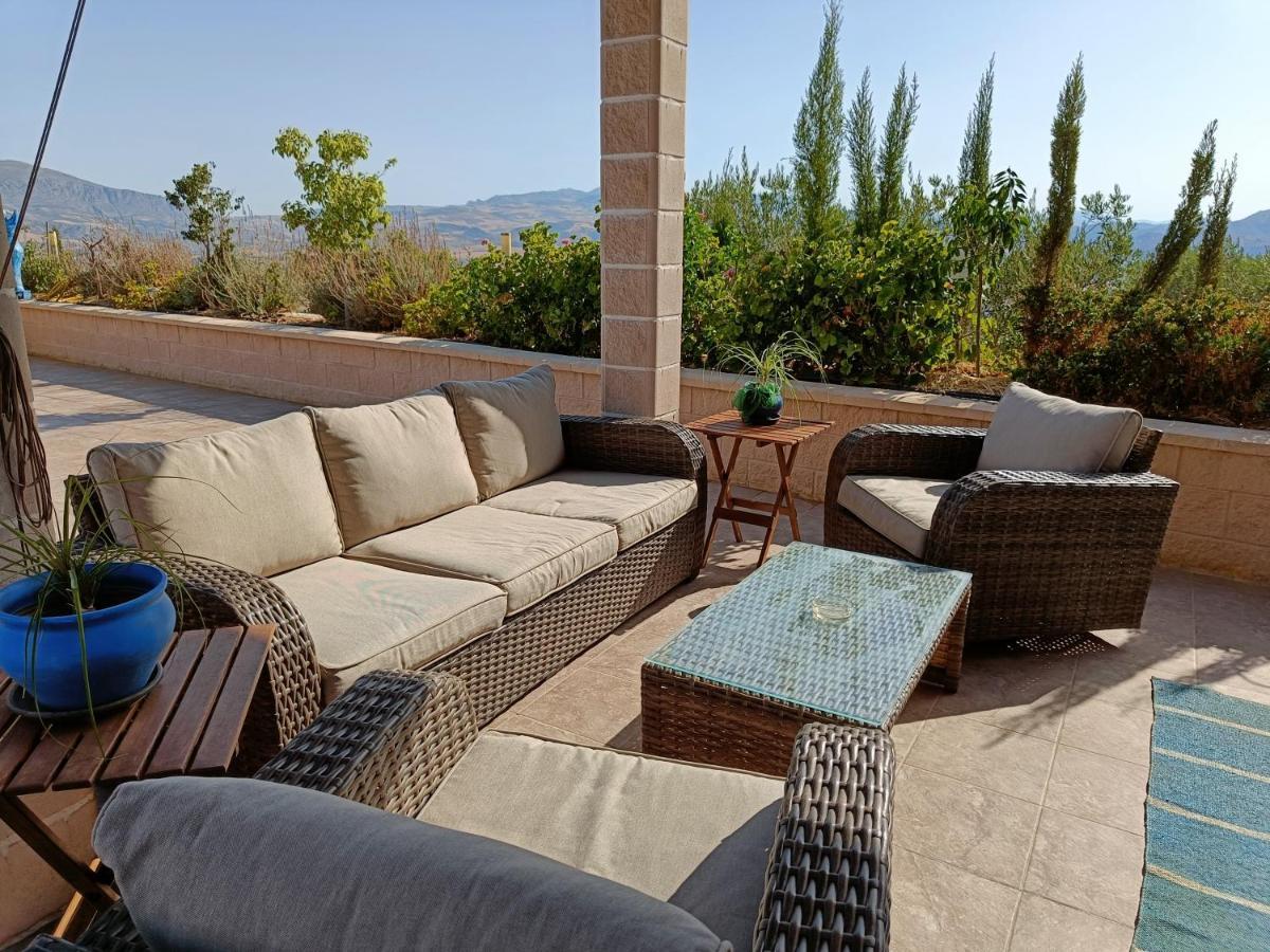 Apartment Casa Oasis