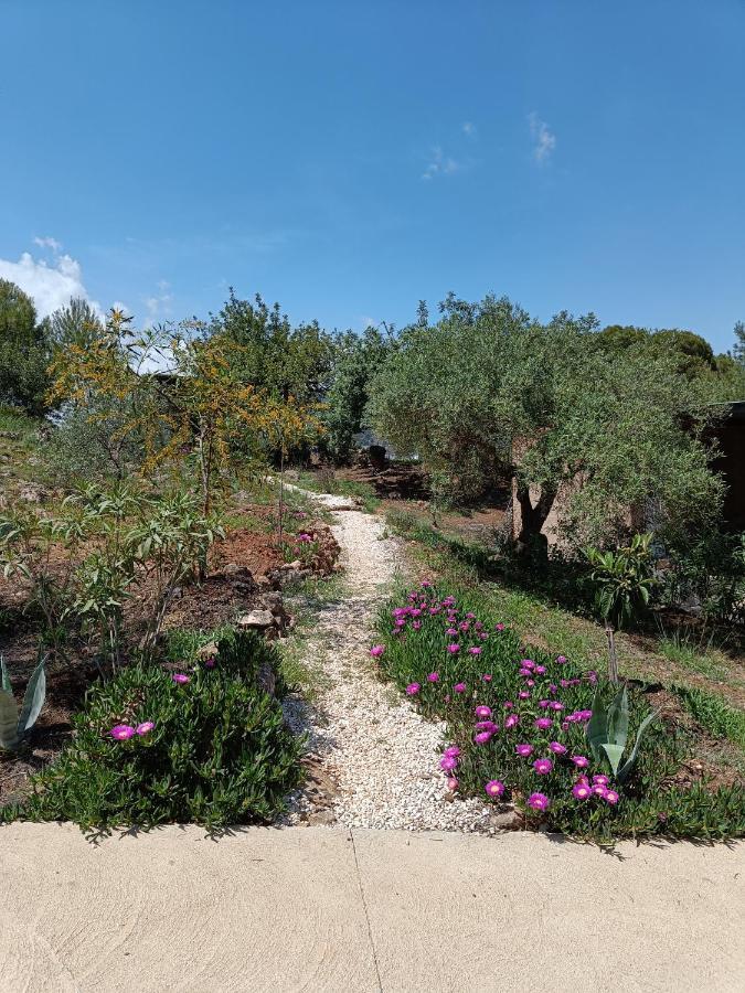 Apartment Casa Oasis Alora
